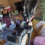 Pleaser Pumps Black Size 9 Photo 1