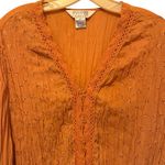 Allison Taylor  Top Photo 1