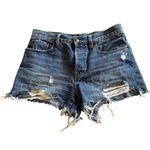 We The Free  Distressed Button Fly Denim Shorts Photo 0