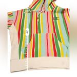 Champion x Urban Outfitters Reverse Weave Watermelon Multicolor Stripe Hoodie S Photo 15
