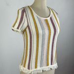 Madewell  Blakley Stripe Sweater Tee Photo 2