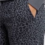 Rails  Kingston Charcoal Mini Cheetah
Print Joggers Photo 8