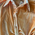 Cider Gathered Velvet Dress Photo 2