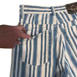 EXPRESS Vintage 90s High Rise Mom Blue Striped Knee Length Shorts Size 9/10 Photo 2