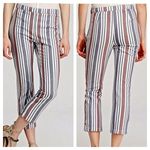Free People  Striped Linen Blend Ankle Length Pants Sz 2 Photo 1