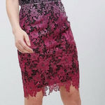 Petite Paper Dolls Lace Cocktail Dress Size 8 Pink Photo 0