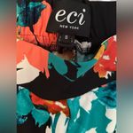 ECI  Floral and‎ Striped Wide-Leg Pants - Black, Red, Orange, Green Photo 5