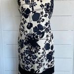 Maggy London  off white and black casual floral sheath dress sz 8 Photo 0