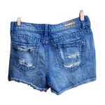 Buckle Buckel Black Jean Shorts Photo 2