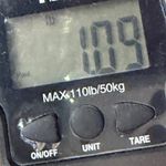 Free People  Leo Pants Womens S Purple Pull On Wrap Around Hem Slouchy Beachy Photo 12