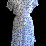 Forever 21 NWT--POLKA DOT DRESS Photo 1