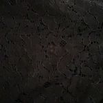 Torrid Black Lace Studio Short Size 16 Photo 7