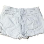 Cello Jean White Shorts Photo 1