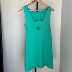 CROSBY by Mollie Burch  Crosby Green Shift Dress Photo 2