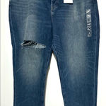 Lucky Brand NWT  Drew Mom High Rise Taper Distressed 20/35R Photo 0