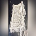 Shimmery Silver Flapper 20's Vibe Costume Photo 4
