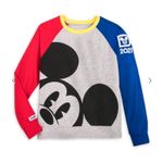 Disney  Parks 2021 Mickey Mouse Colorblock Pullover Sweatshirt Large Photo 1