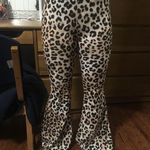 Princess Polly  cheetah print flares  Photo 0