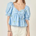 English Factory Floral Embroidered Puff Slv Babydoll Powder Blue Multi XS *flaw Photo 0