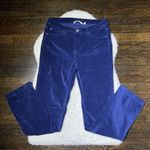 Soft Surroundings  Navy Blue Velvet Straight Leg Pants Size 6 Photo 0