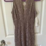 Macy's Mocha halter neck bodycon lace detail XS dress NWT Photo 0