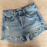 AGOLDE  24 Jaden Shorts Denim surreal distressed button fly light wash Photo 0