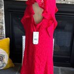 Julia Jordan Red Ruffled Mini Dress Photo 5