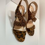 Woman’s Trary High Heel Shoes For‎ Life Animal Print Size 7 Brown Photo 3