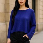 Eileen Fisher Blue Long Sleeve Hi Low Scoop Neck Thin Sweater ~ Women's L (?) Photo 0