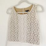 Ann Taylor Floral Embroidered Lace Peplum Top White/Ivory Size 4P Retail $98 Photo 6