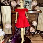 Lillie Rubin VINTAGE 1990'S RED ROSETTE & TULLE MINI PARTY DRESS (6) Photo 1