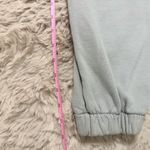 Brandy Melville Periwinkle Blue Rosa Jogger Baggy Sweatpants Photo 6