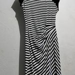Cache zebra look dress size Small stretchy side ruched NEW Photo 0