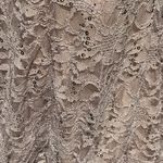 Windsor Lace Sequin Cream Mermaid Prom Dress Photo 7