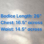 Milly  Bustier‎ Corset Knee Length Floral Appliqué Dress Sz 6 Photo 7