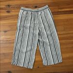 Banana Republic  Striped Linen Blend Cropped Wide Leg Pants Womens Size Large Photo 4