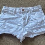Kohls White Distressed  Shorts Photo 0