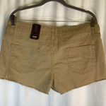 No Bo Juniors (women’s) Beige Khaki Shorts NEW size 15 Photo 6