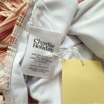 Charlie Holiday Pia Full Piece Swimsuit One Piece Painterly Stripe Swimwear Photo 4