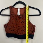 Stori by Katy Hearn Brown Spotted Sports Bra Size 8 Photo 4