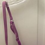 No Boundaries FINAL MARKDOWN  padded underwire 36C Photo 1