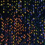 Amazon NWT Wdirara Medium Multicolored Sequin Sleeveless Backless Halter Mini Dress Photo 3