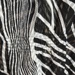 Allison Daley  Black and White Zebra Patterned Textured Blouse Sheer Size 20W Photo 7