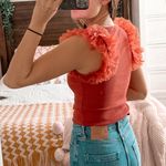 Anthropologie Burnt Orange Organza Top  Photo 1