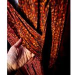 Free People Shayla Brown Boho Wrap Maxi Dress Floral Long Sleeve Thigh Slit Photo 4