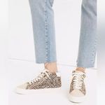 Madewell Leopard Print High-Top Sneakers size 6.5 Photo 2