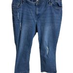 Woman Within Distressed Denim Jeans Size 22W From Bangladesh Photo 2