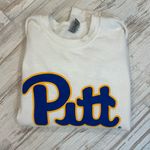 Gildan University of Pittsburgh Hoodie Photo 1
