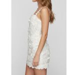 Tularosa Kimmy 3D Floral Appliqué Mini Dress, Ivory, Medium Photo 2