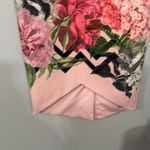 Ted Baker London Soella Palace Gardens Skirt Pale Pink w/ Flowers Floral Women's Size 0 Photo 5